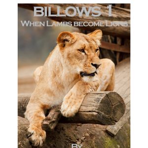 Billows 1 Cover