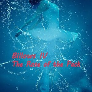 Rose of the Cover