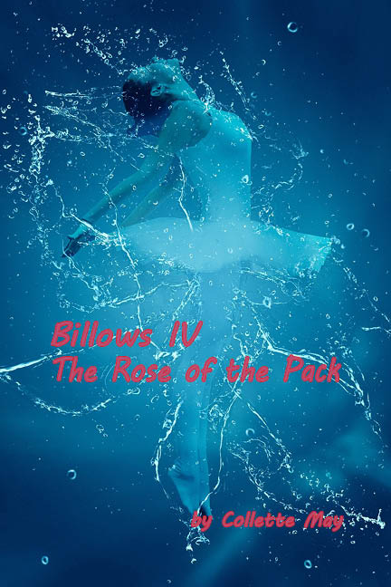 Rose of the Cover